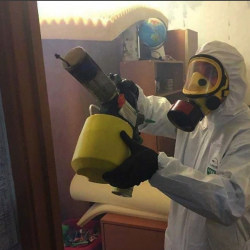 Уничтожение клопов в квартире. Внуково 